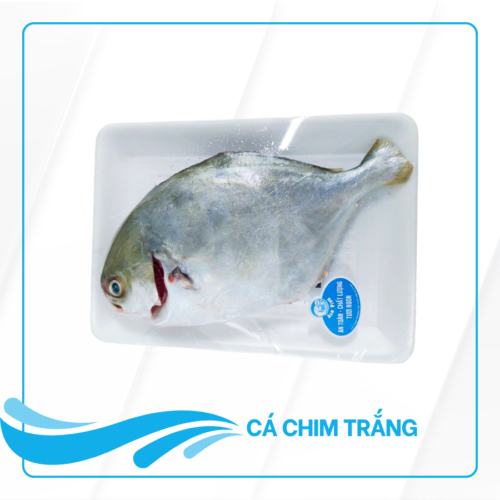 cá chim trắng làm sạch Alo Fish
