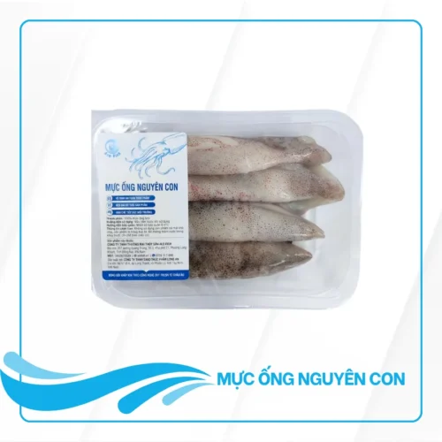 Mực ống nguyên con làm sạch Alo Fish