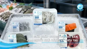 giải pháp cung ứng hải sản cho nhà hàng, siêu thị