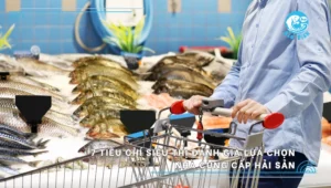 7 Tiêu chí đánh giá nhà cung cấp hải sản cho siêu thị