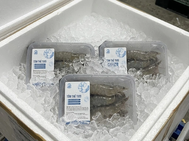 tôm thẻ tươi Alo Fish đóng khay MAP
