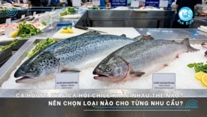 cá hồi Na Uy và cá hồi Chile khác nhau thế nào