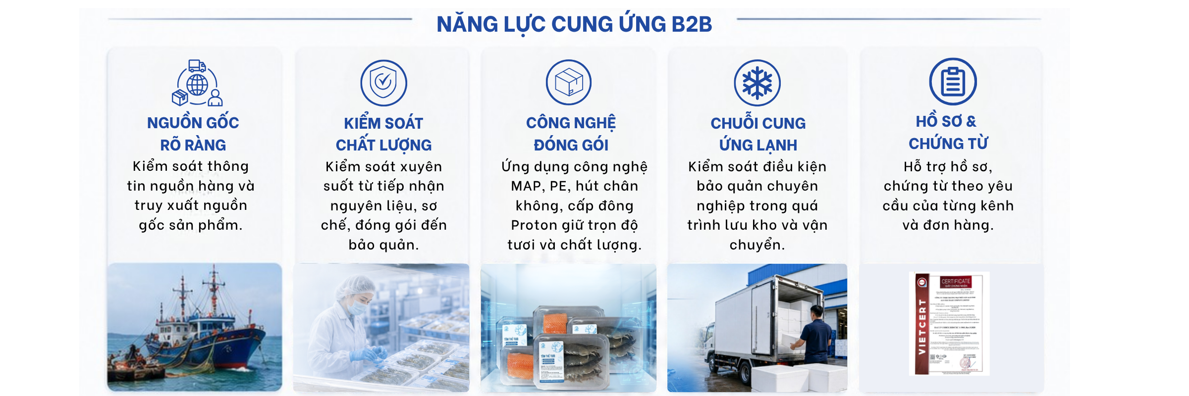 năng lực cung ứng của Alo Fish