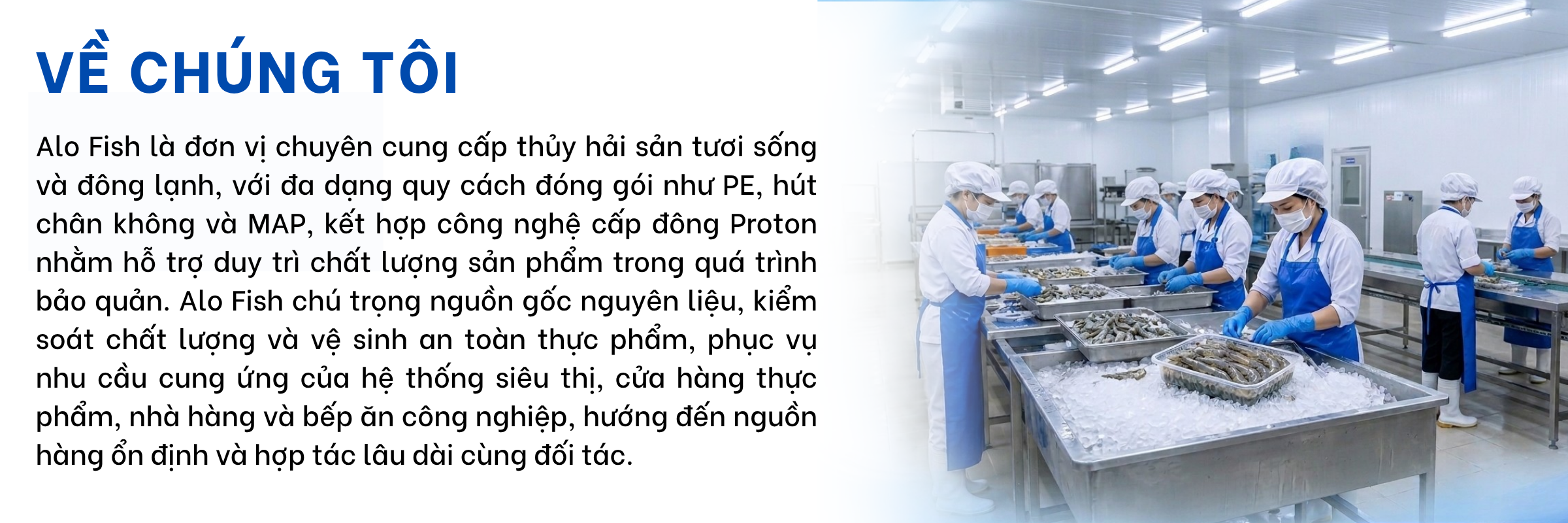 về chúng tôi - Alo Fish